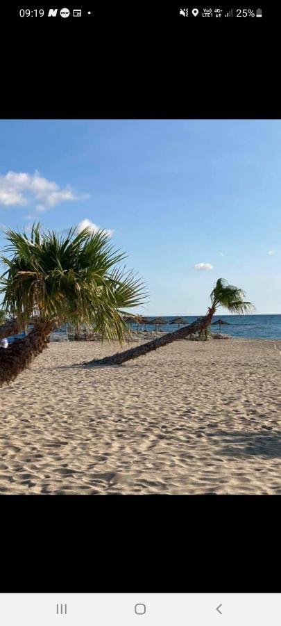 Villa 6 Couchages Spa Privatif, Acces Direct Mer, Piscine Le Barcarès Kültér fotó