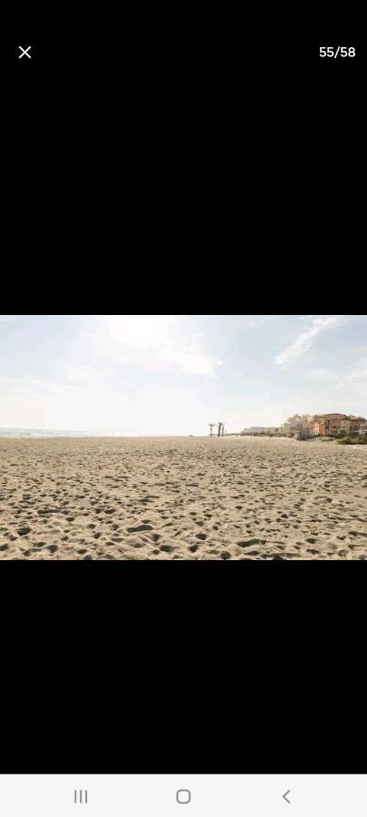 Villa 6 Couchages Spa Privatif, Acces Direct Mer, Piscine Le Barcarès Kültér fotó